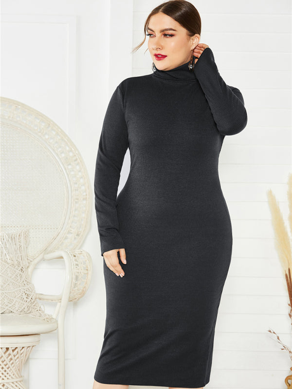 Knit Turtleneck Long Sleeve Dress - Whiicka