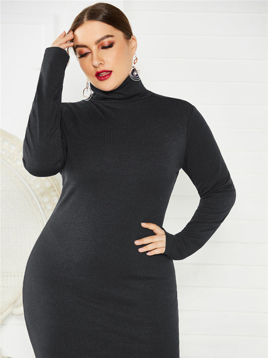 Knit Turtleneck Long Sleeve Dress - Whiicka